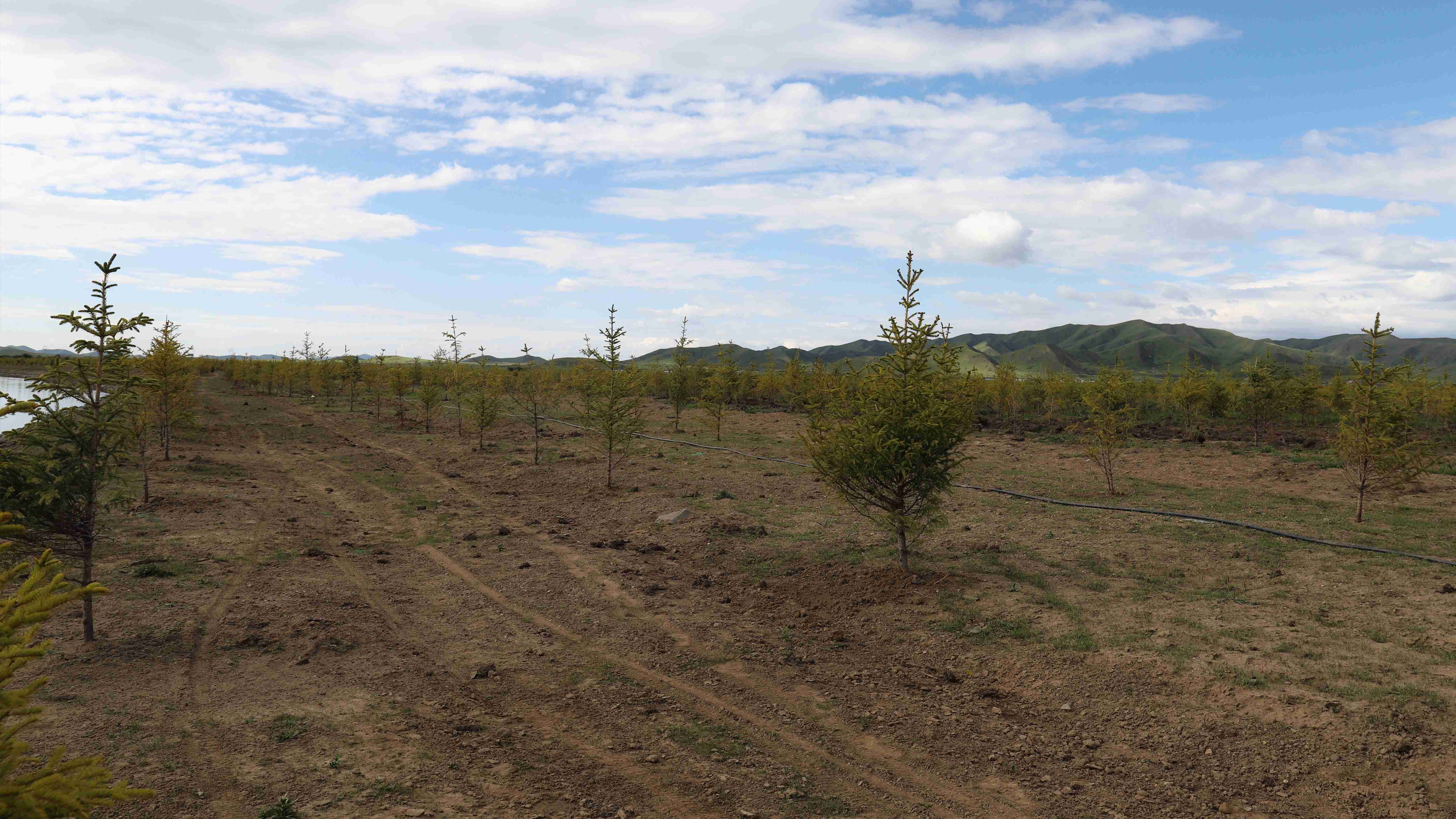 嚴(yán)守工程質(zhì)量，筑牢生態(tài)屏障